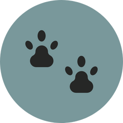 Puppy and Kitten Packages icon