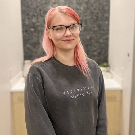 dr. nicolaas reijne, dvm